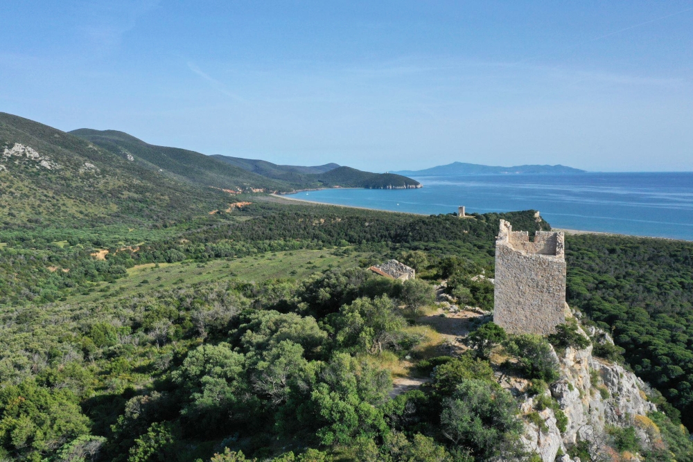 Ambiente, Giani e Monni in Maremma per le celebrazioni dei ...